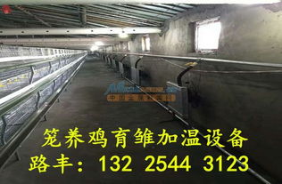 环保养殖锅炉的革新之路 山东路丰温控设备厂的专业解决方案与水产品零售新业态