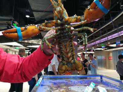 走马观花十里堡盒马，新零售的水产品长啥样？